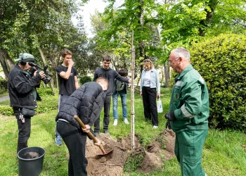 Foto; Tomi Burčul