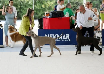 Foto: Luka Perić