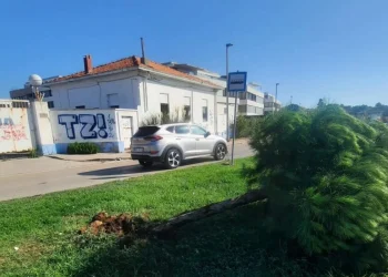 Foto: Nasadi