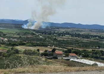 Foto: Vatrogasci 193