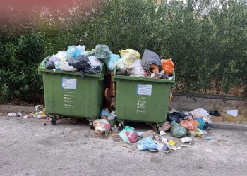 Foto: Čitatelj