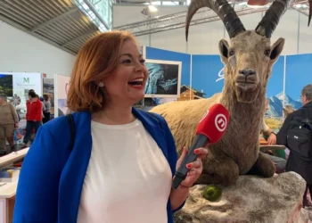 Jedna od kandidatkinja za pročelnicu Ureda gradonačelnika neslužbeno je Sanja Jurišić (Foto: Dnevnik.hr)