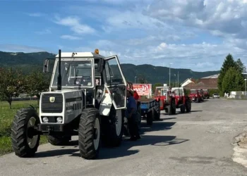 Foto: PU zadarska