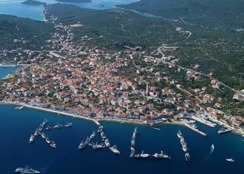Foto: TZO Kali