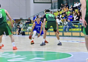 Foto: Drago Perko (Kosarka.si)