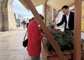 Foto: Grad Zadar