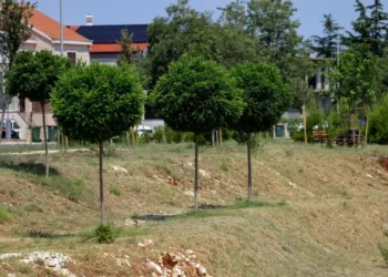 Foto: Grad Zadar
