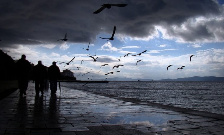Foto: Danijela Pedišić
