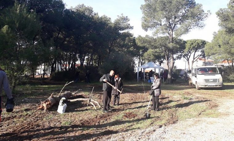 Foto: Nasadi