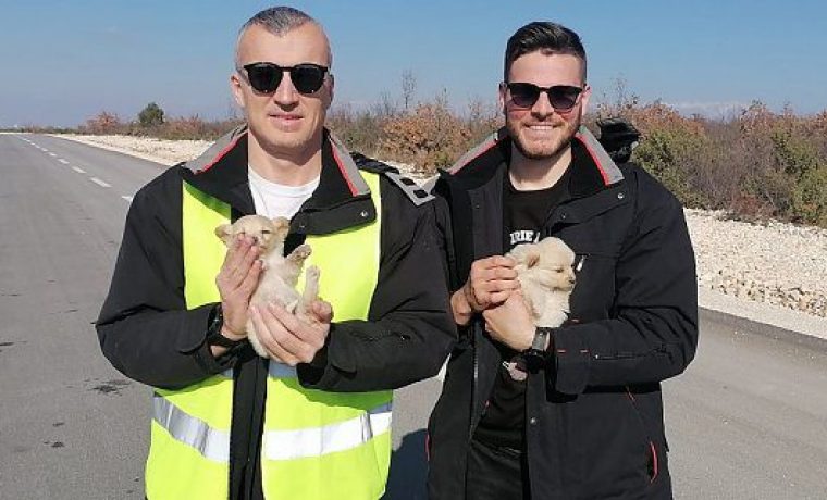 Foto: Ekovjesnik