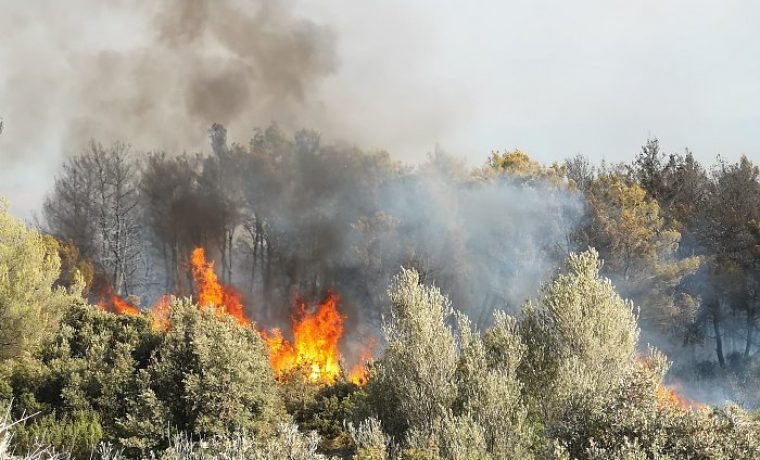 1659110894081_1659111737.jpg Foto: Tomi Burčul