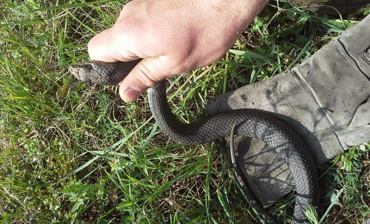 Foto: 057info (snimio čitatelj)