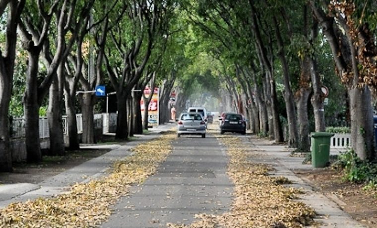 Foto: 057 info
