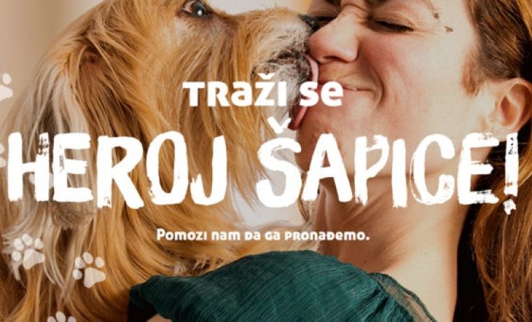 Foto: Bayer Foresto