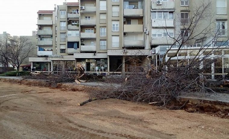 Foto: Marjana Botić