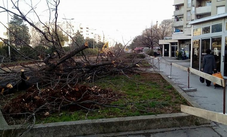 Foto: Marjana Botić