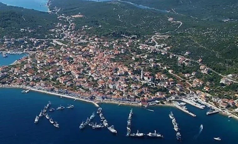 Foto: TZO Kali
