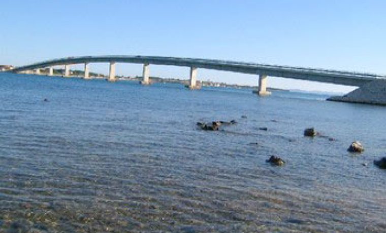294_Vir_1290063012.jpg