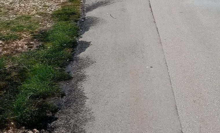 Foto: Mladen Ćustić