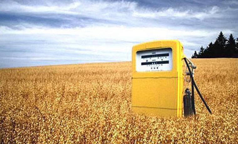 5708_biofuels_1272449649.JPG