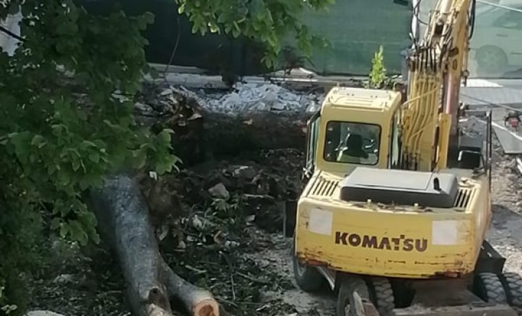 75380187_578855316152654_5288605251564256793_n_1593153635.jpg Foto: 057info