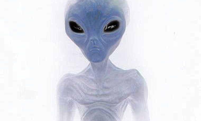 ALIEN_1265194060.jpg Foto: proofofalienlife.com