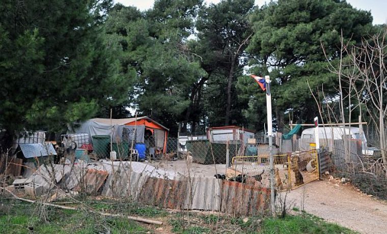 AZIL_PSI_01_1307600097.JPG Foto: Zadarski list