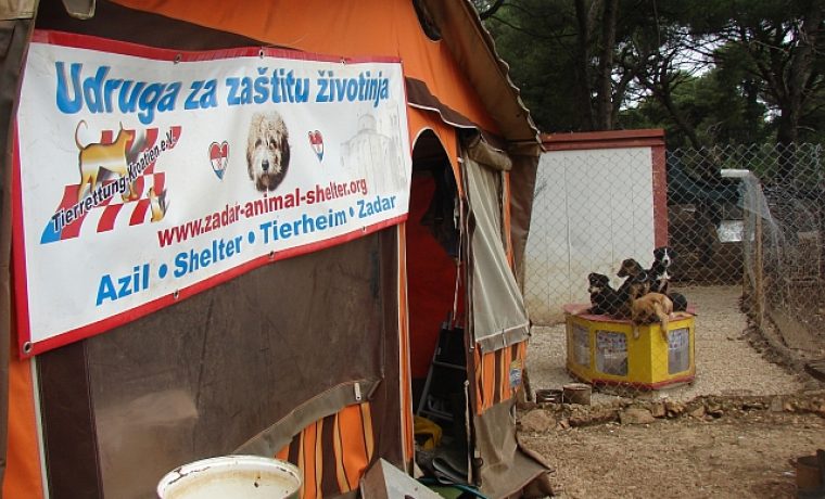 Azil_5_1324541772.jpg Azil_5_1324541772.jpg