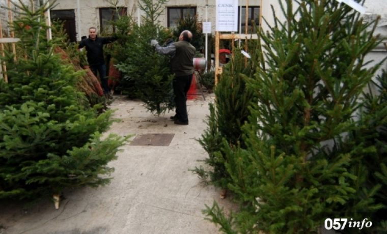 BOŽIĆ_1419180189.jpg Foto: 057info