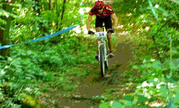 BRDSKI_1243852800.jpg