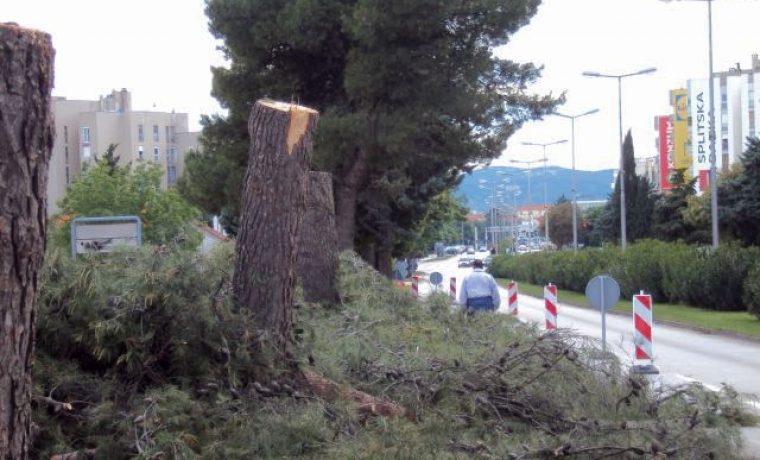 BULEVAR_1274160598.jpg Foto: Zadarski list