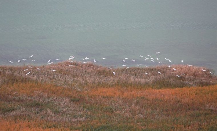 Foto: PP Vransko jezero