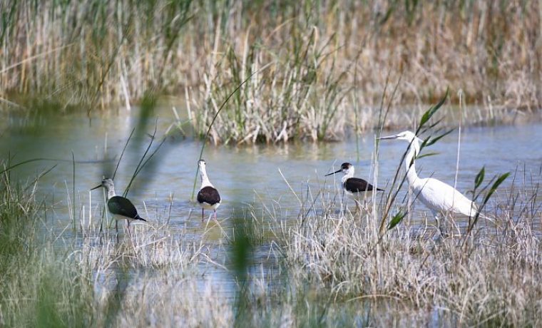 Foto: PP Vransko jezero