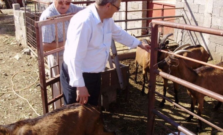 Benkovac_i_Stankovci_(7)_1242039799.JPG Foto: SDP