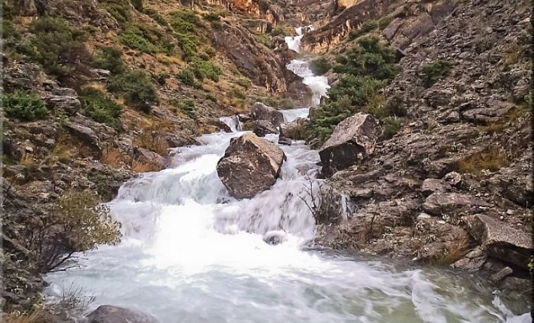 Foto: natura jadera