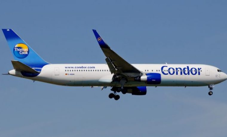 CONDOR__COOK_1520675106.jpg Foto: pr foto