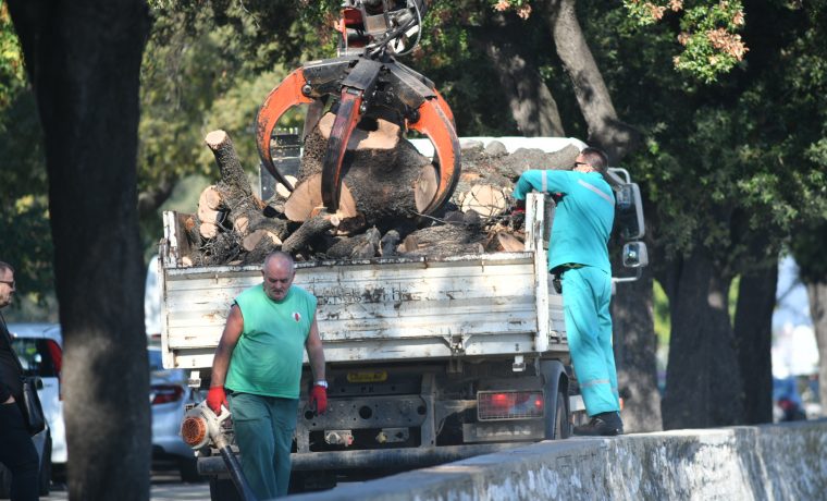 Foto: 057info Marko Dimic