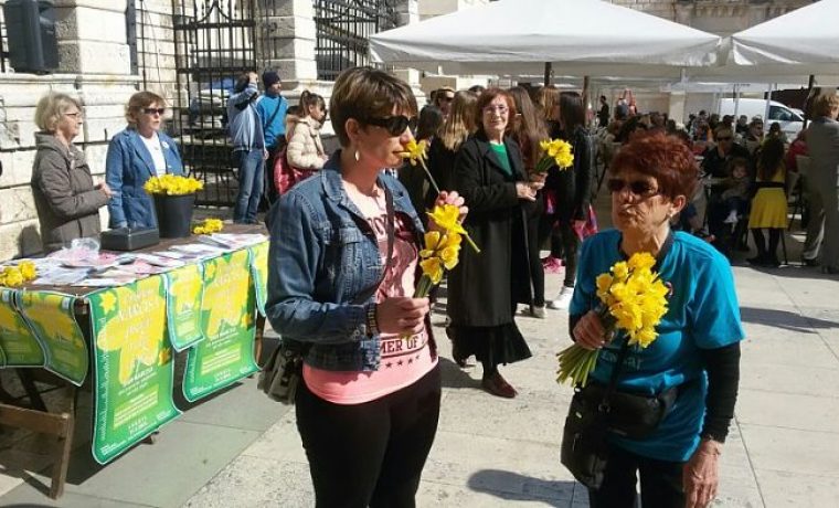 DAN_NARCISA_2_1426931518.jpg Foto: 057info