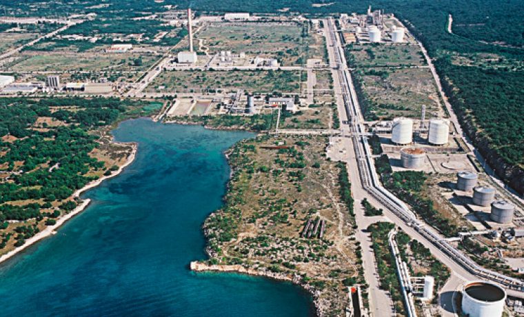 DINA_bez_priveza1_543403S1_1359398460.jpg