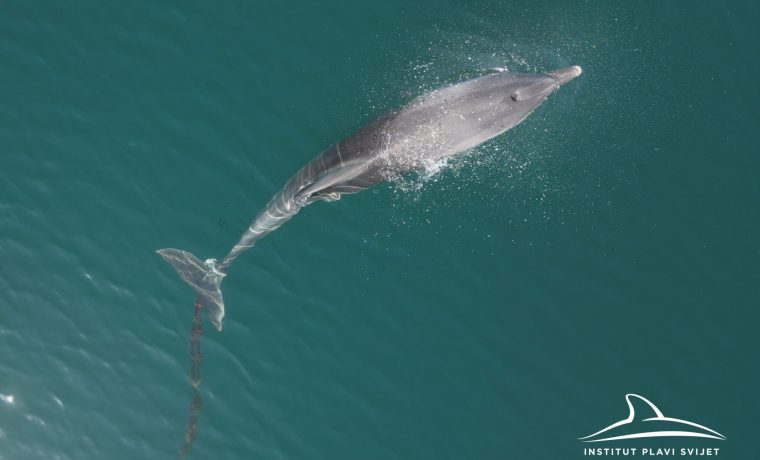 DUPIN OLIVER5 Foto: Blue World Institute