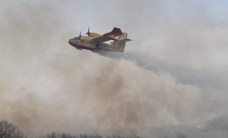 Grgurice6_1647606577.jpg Foto: Vatrogasci - Oni su naši heroji