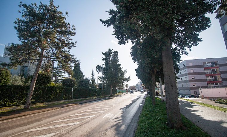 Foto: 057info (Saša Čuka)