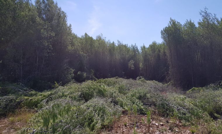 Foto: Općina Bibinje