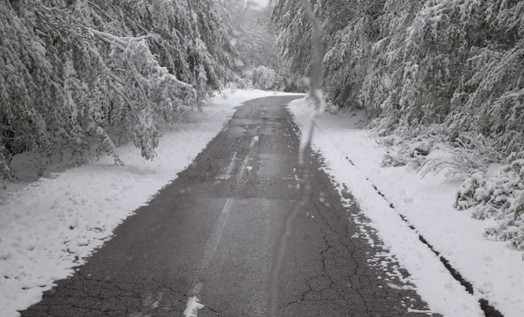 Foto: 057info - čitatelj