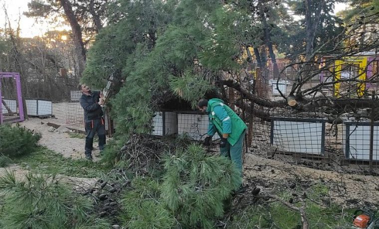 IMG_20211227_WA0003_1640601101.jpg Foto: Zadarski azil