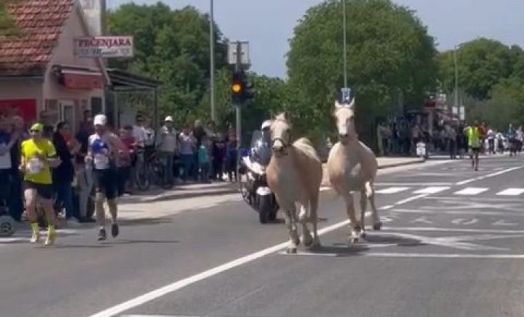 Foto: Matea Ikić
