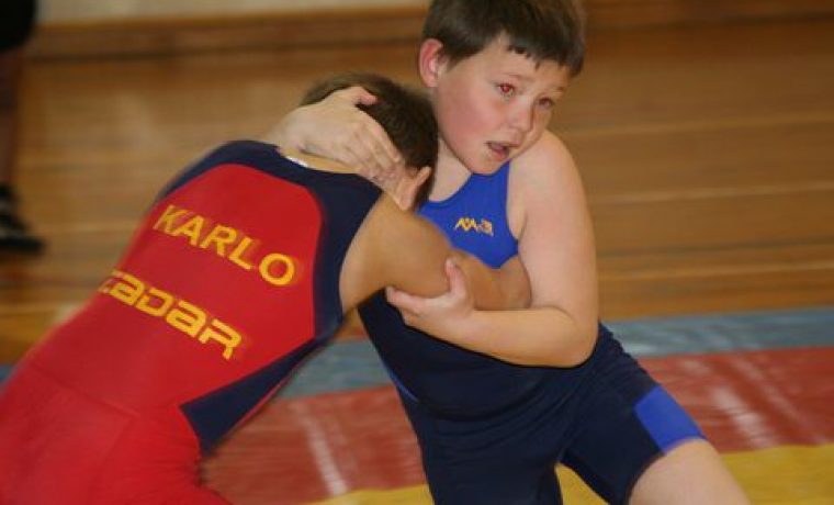 IMG_2375_1487698536.JPG Foto: HK Zadar