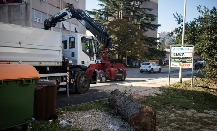 Foto: Saša Čuka (057info)