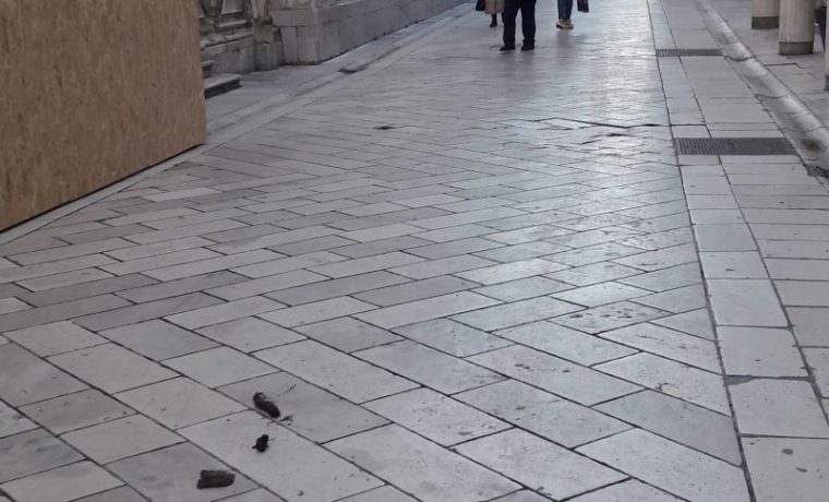 IZMET__kalelarga_1582564400.jpg Foto: 057info