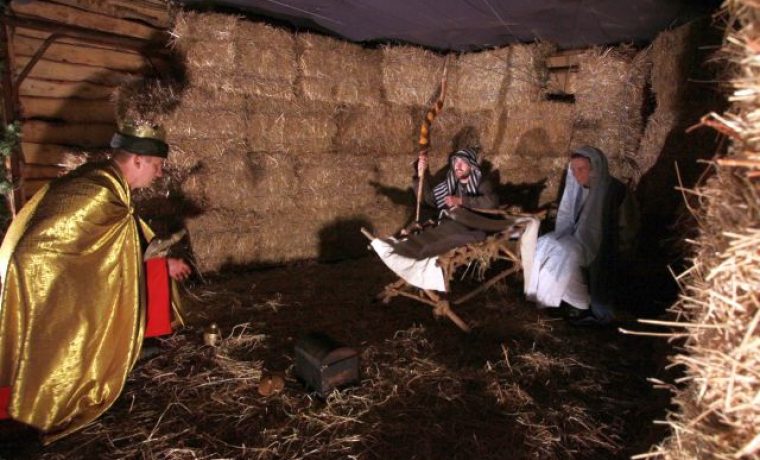 JANKOLOVICA_1293704891.jpg Foto: Zadarski list